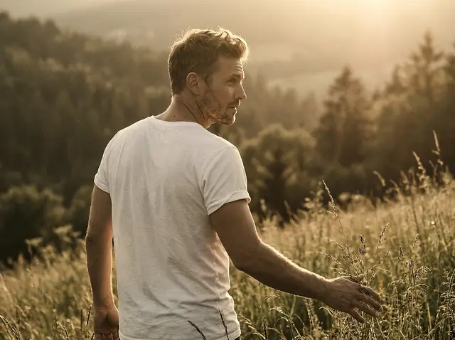 Man walking through a golden field in evening light, brushing the tall grass